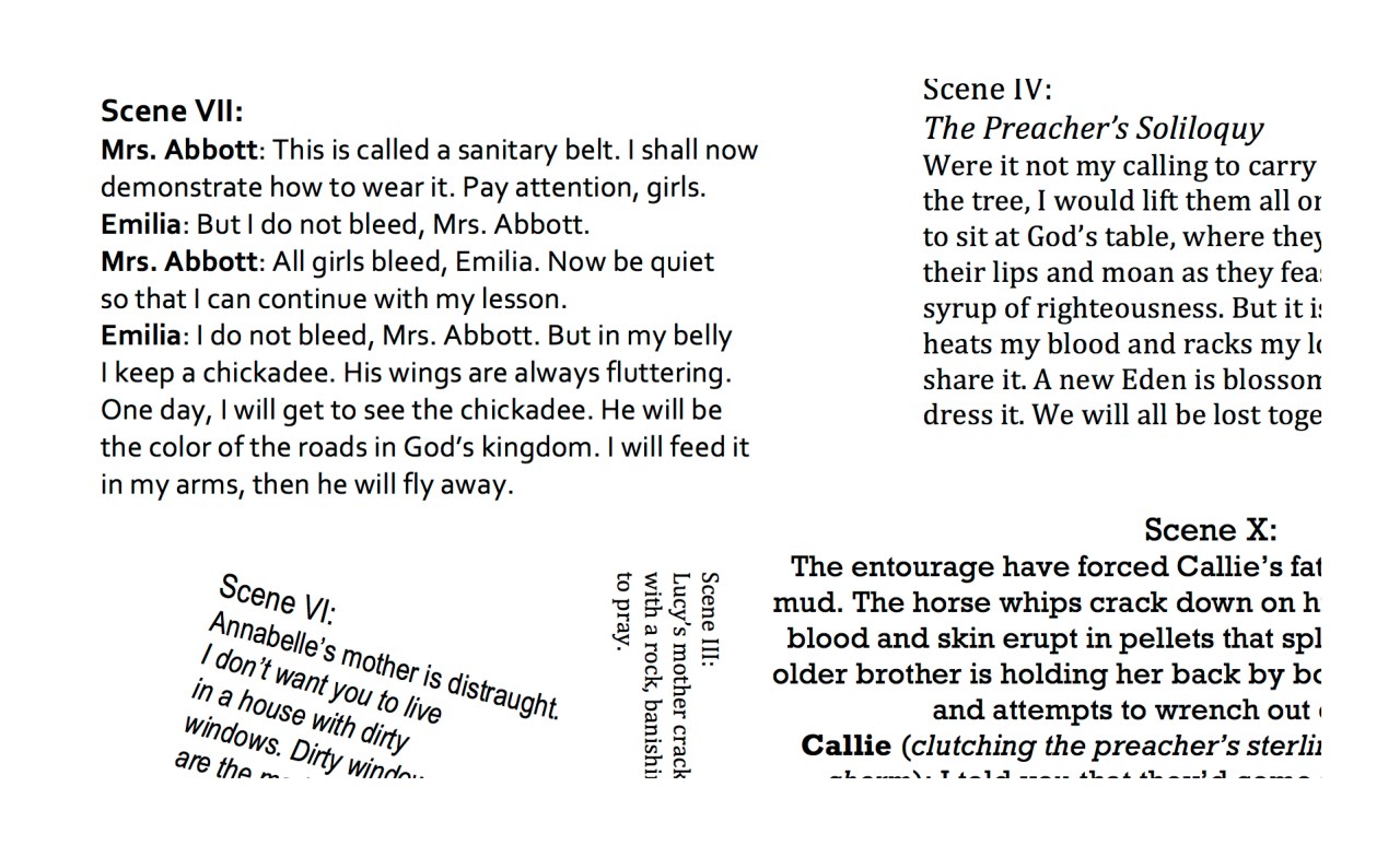 Mid-Week Feature: Elizabeth&nbsp;Mastrangelo